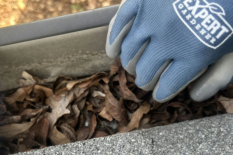 Gutter Cleaning Cuyahoga Falls